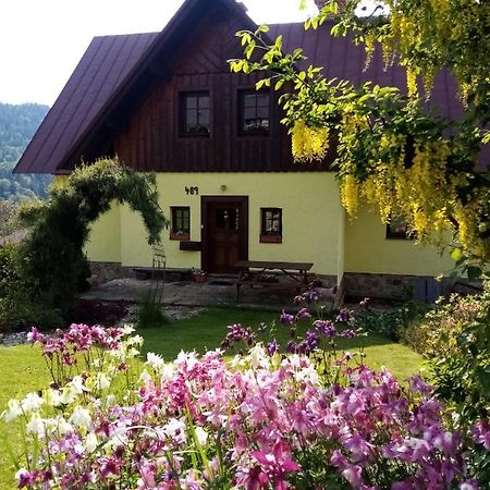 Apartments Vecernik Rokytnice روكيتنسي ناد جيزيرو المظهر الخارجي الصورة