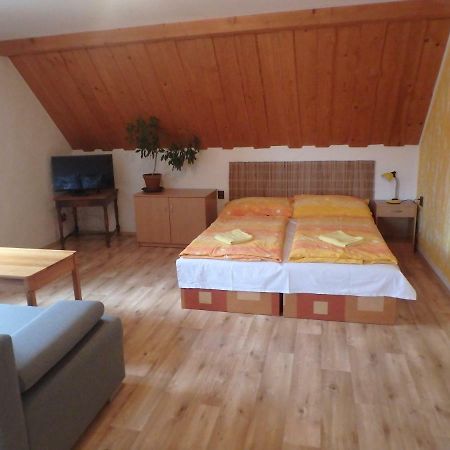 Apartments Vecernik Rokytnice روكيتنسي ناد جيزيرو المظهر الخارجي الصورة